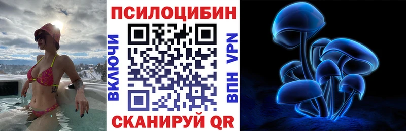 blacksprut ССЫЛКА  Павловский Посад  Псилоцибиновые грибы мухоморы  купить наркоту 