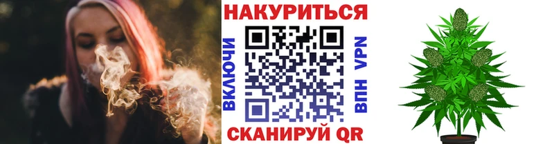 Шишки марихуана семена  mega зеркало  Павловский Посад 